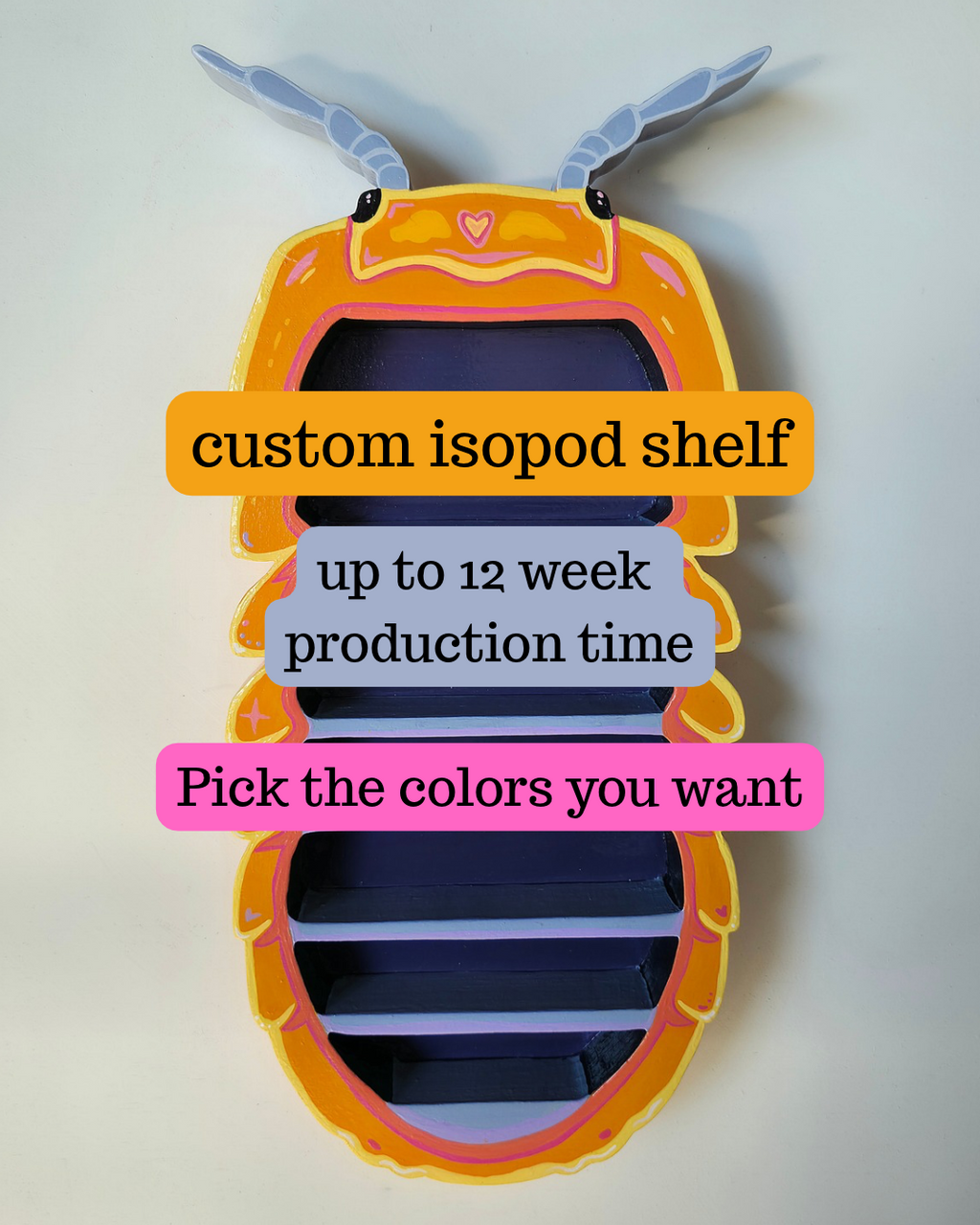 CUSTOM isopod shelf | Up to 12 week production time | choose your own colors
